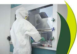 investigacion_desarrollo