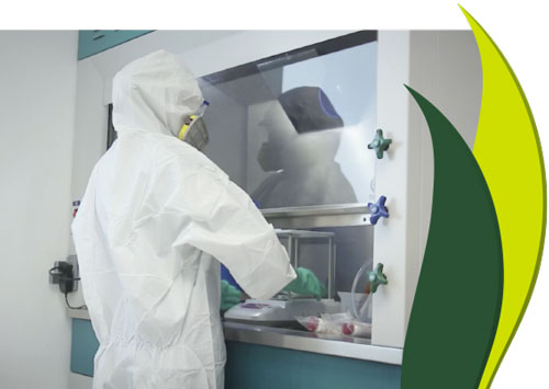 investigacion_desarrollo