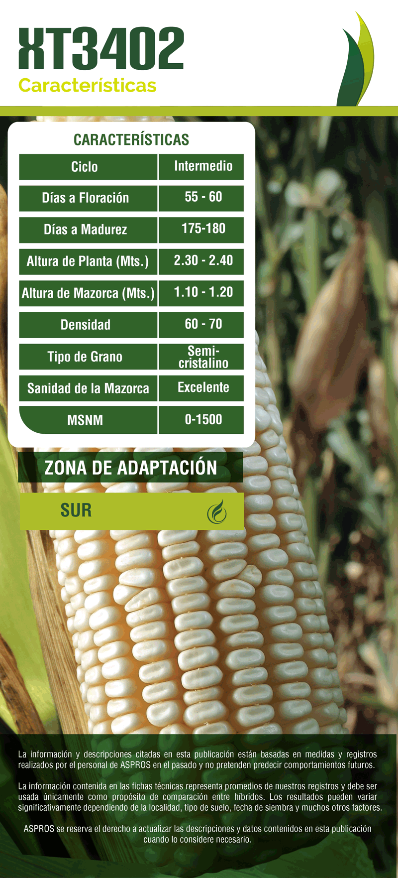Ficha 722
