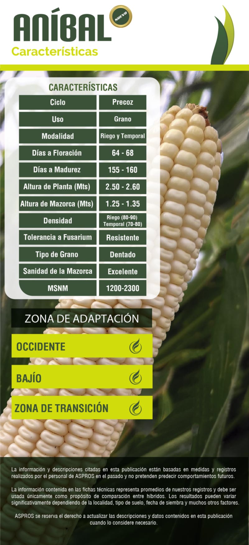 Ficha 722