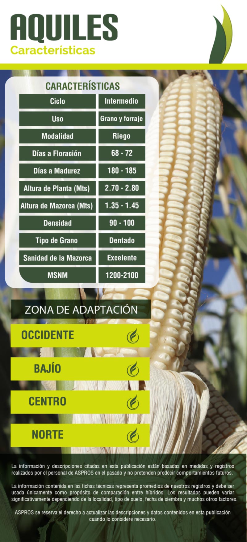 Ficha 722