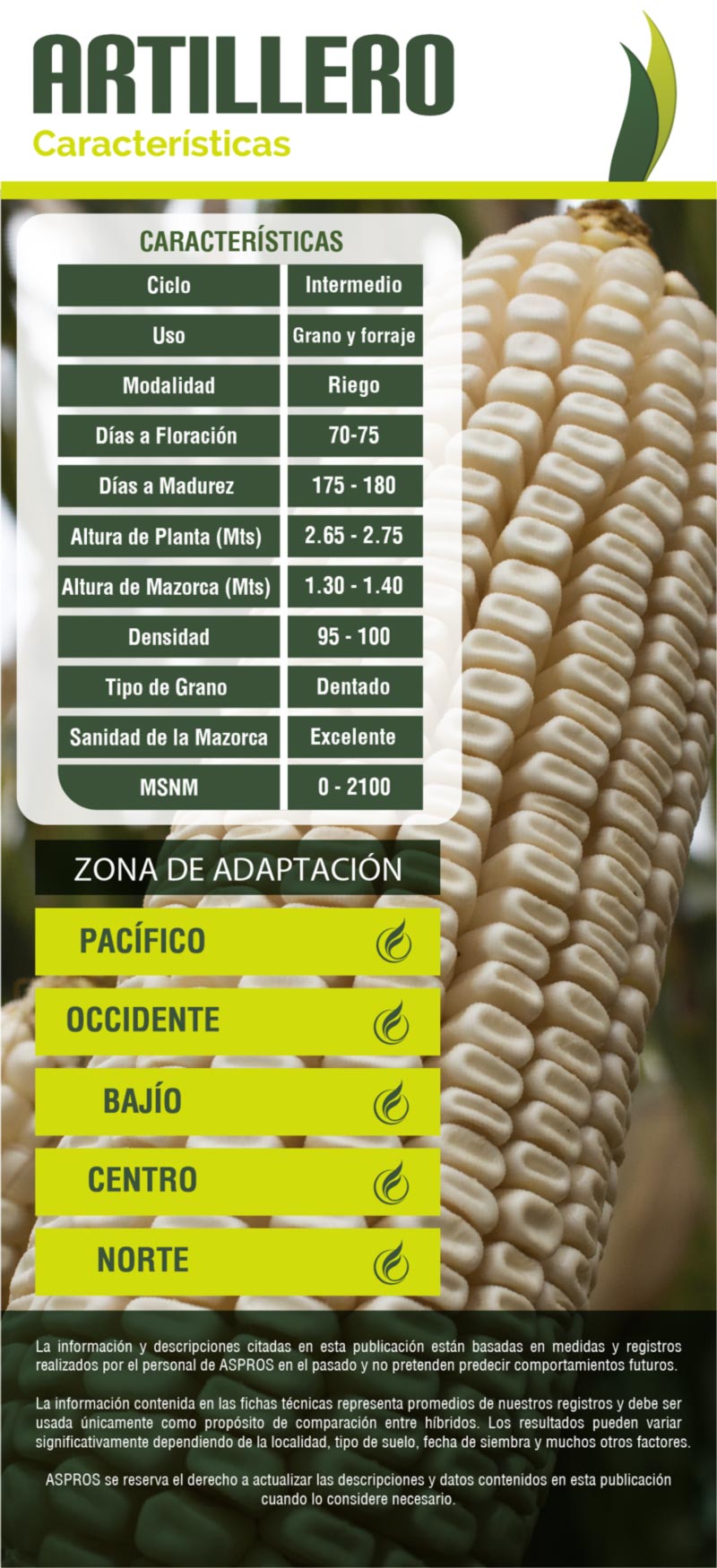 Ficha 722