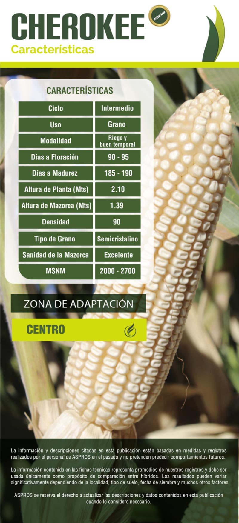 Ficha 722