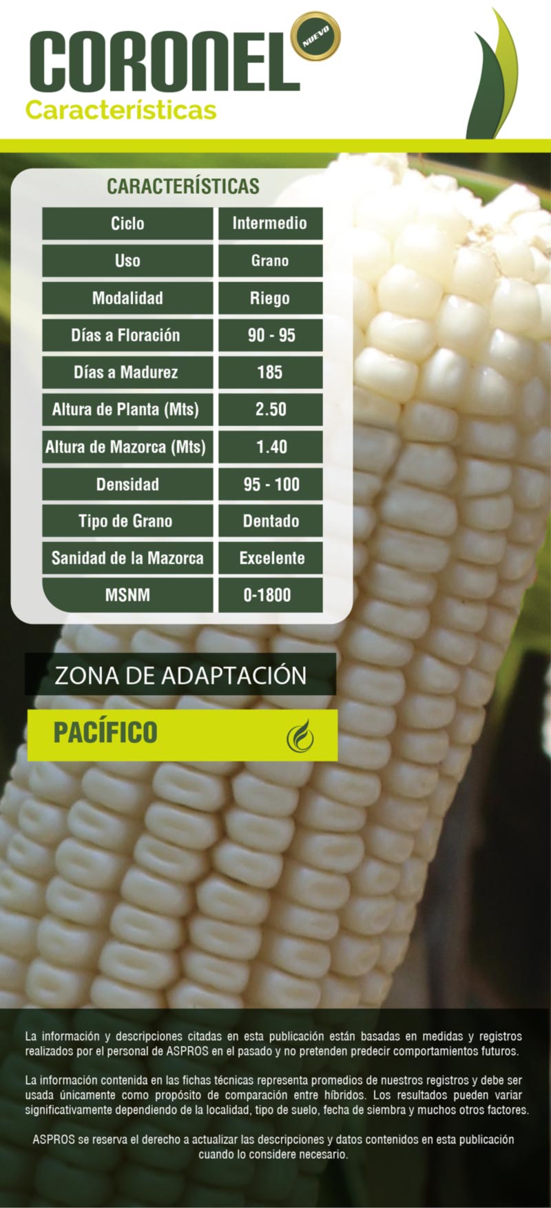 Ficha 722