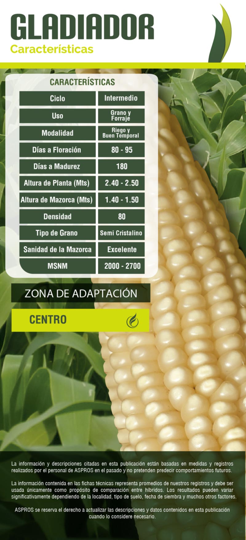 Ficha 722