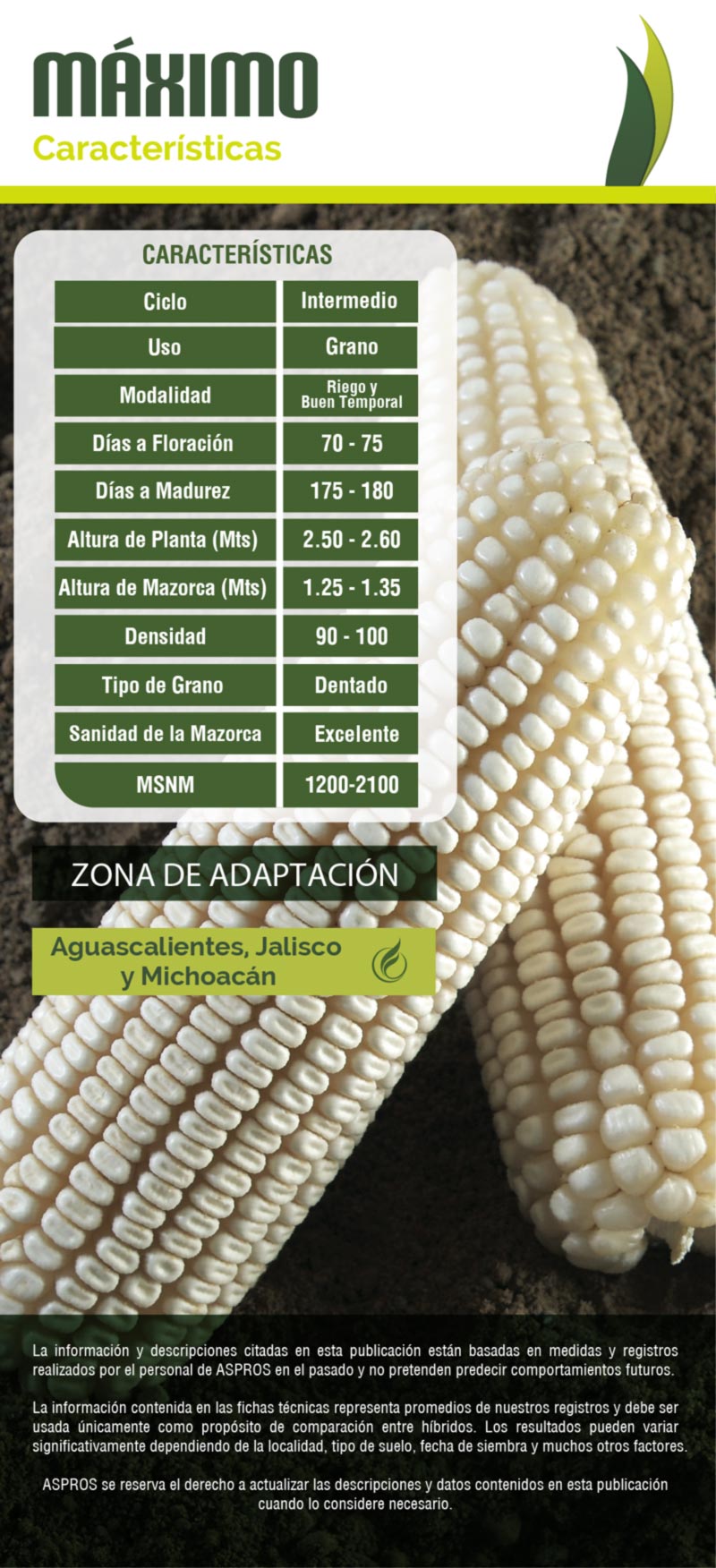 Ficha 722