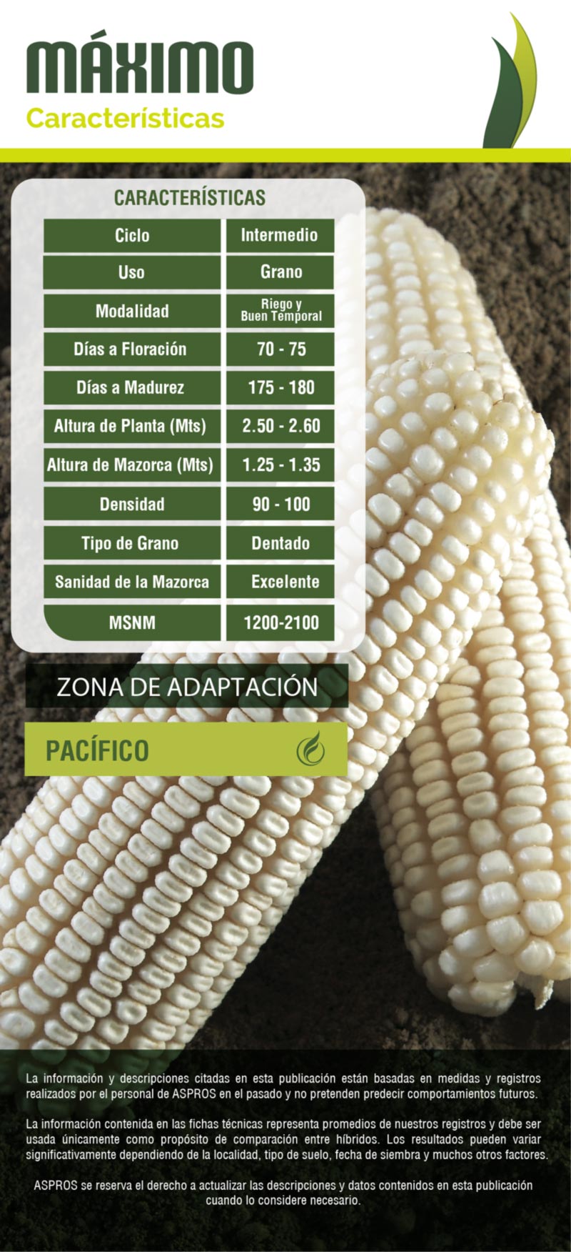 Ficha 722