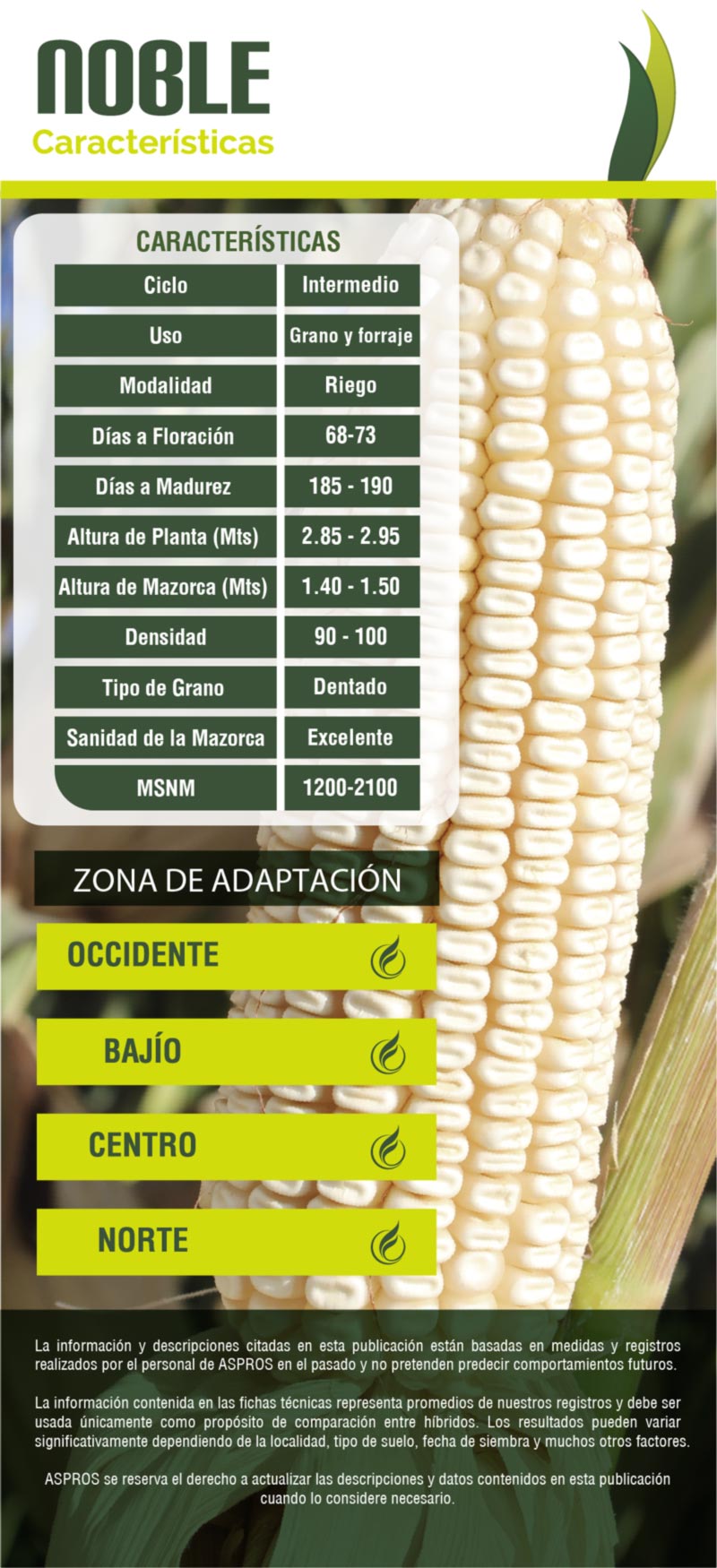 Ficha 722
