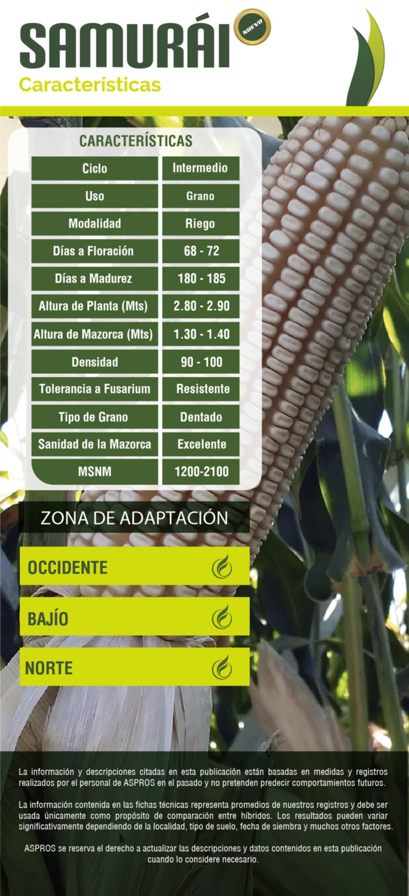 Ficha 722