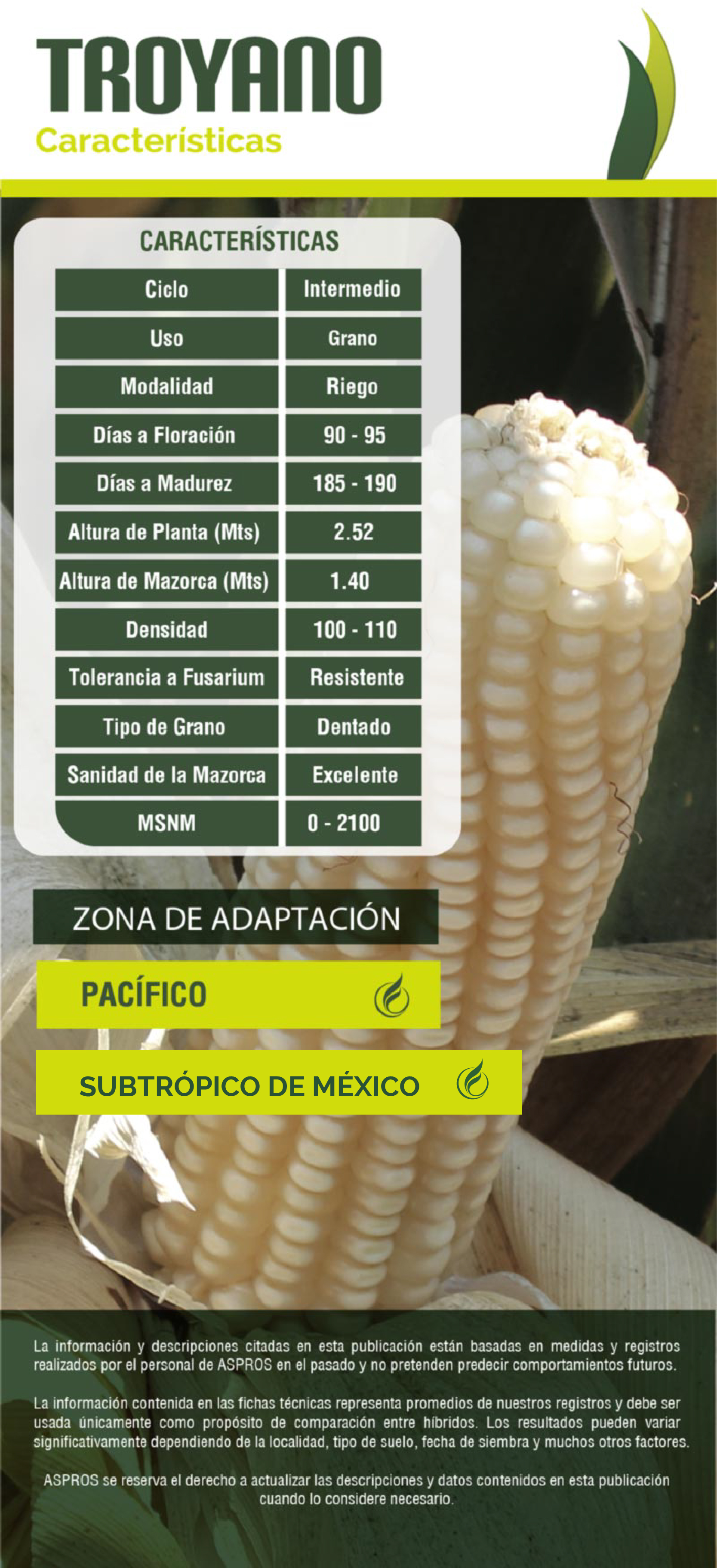Ficha 722