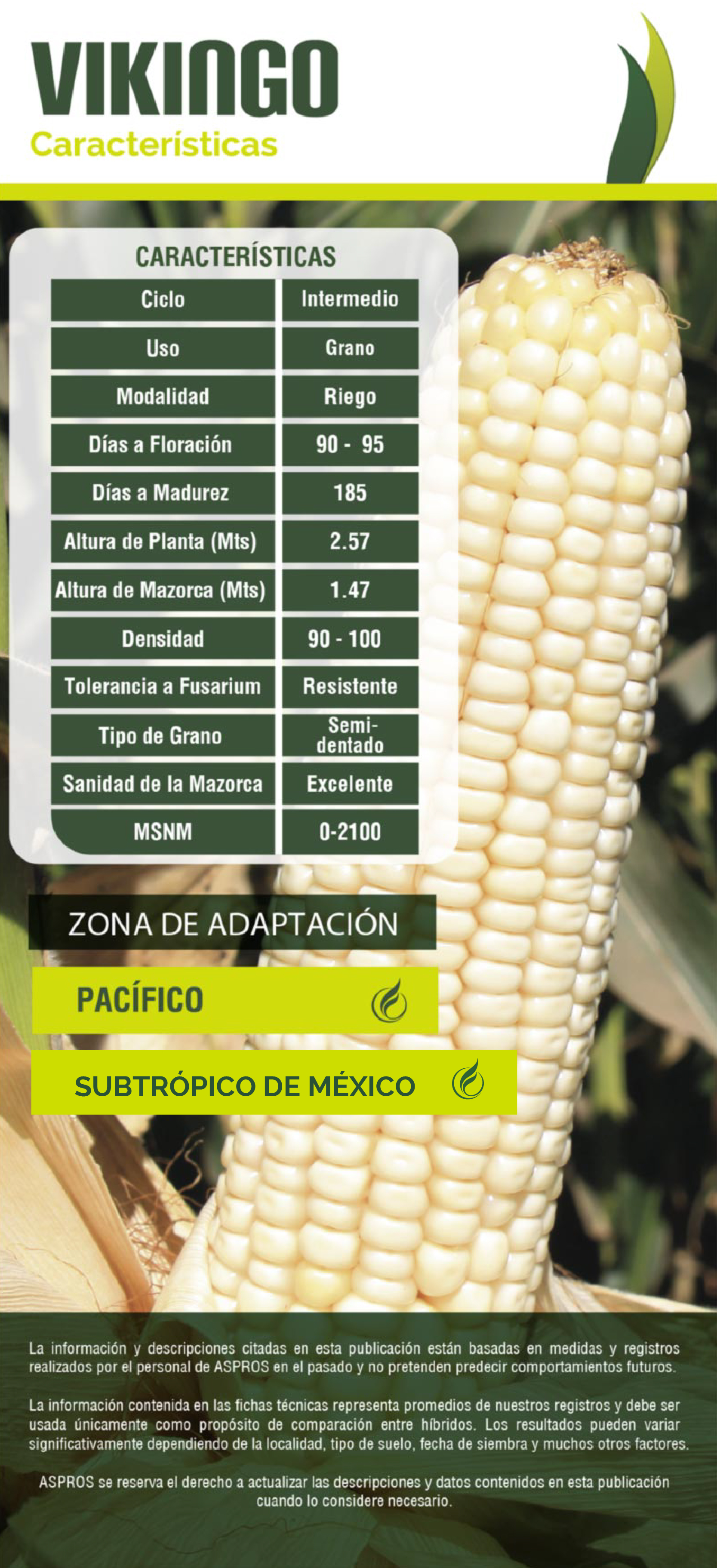 Ficha 722