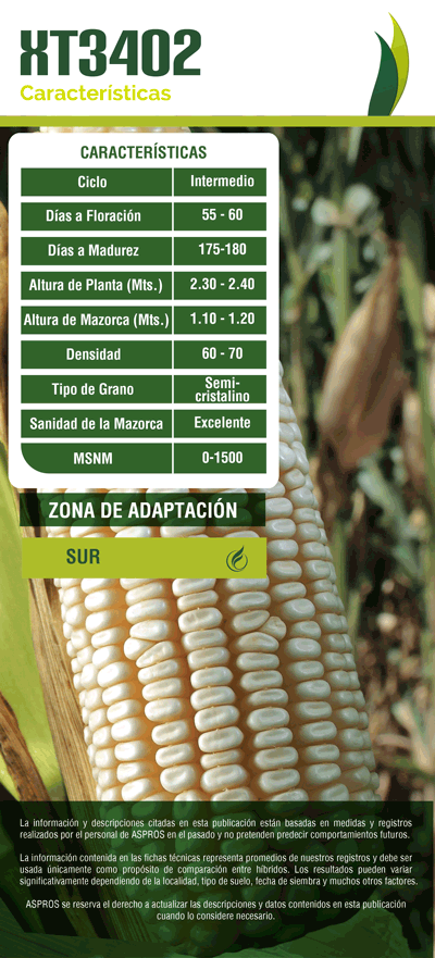 Ficha 722